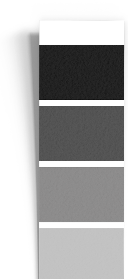 Muestra monocroma Realnyx